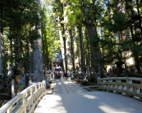 高野山・奥の院（イメージ）