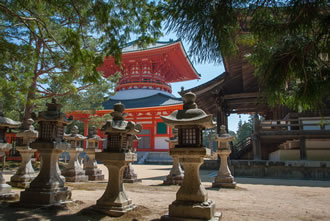 高野山と丹生都比売神社バスツアーのおすすめポイント