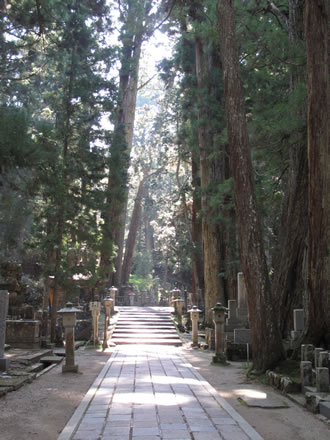 高野山と丹生都比売神社バスツアーのおすすめポイント