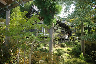 高野山と丹生都比売神社バスツアー
のおすすめポイント