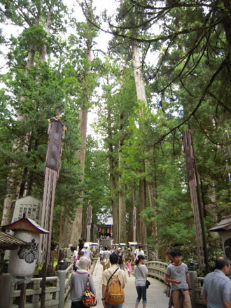 高野山と丹生都比売神社バスツアー
のおすすめポイント