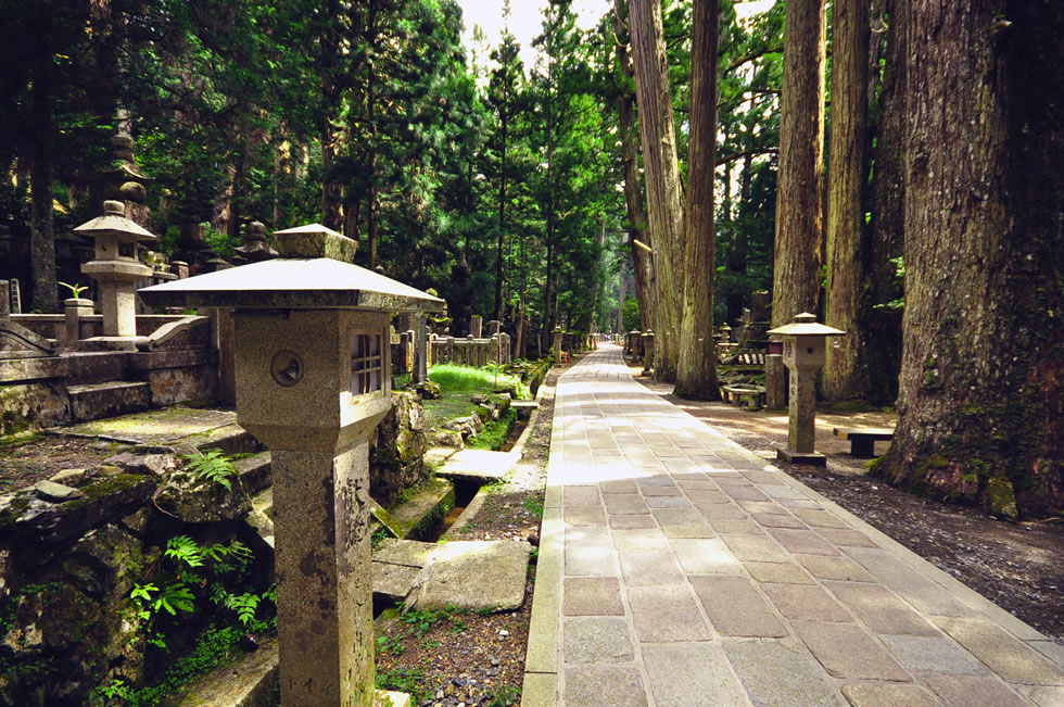 高野山と丹生都比売神社バスツアー
