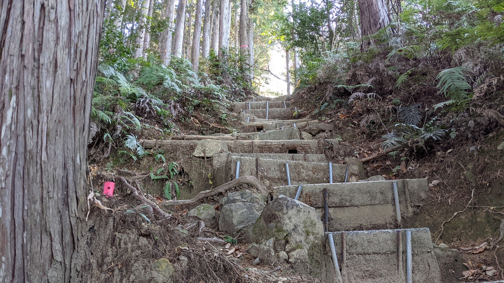 熊野古道ハイキング伊勢路編のおすすめポイント