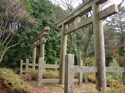 熊野本宮大社と高野山バスツアーのおすすめポイント