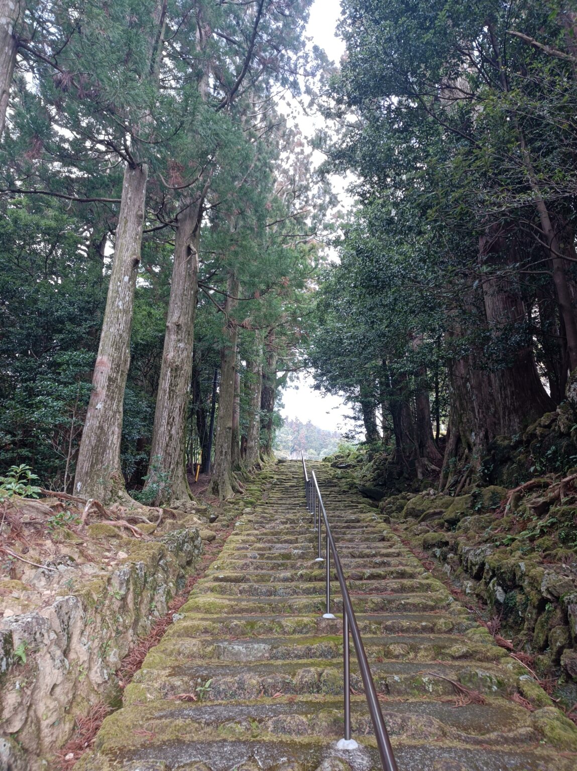 [全国旅行支援対象] 熊野古道ハイキング那智編のおすすめポイント