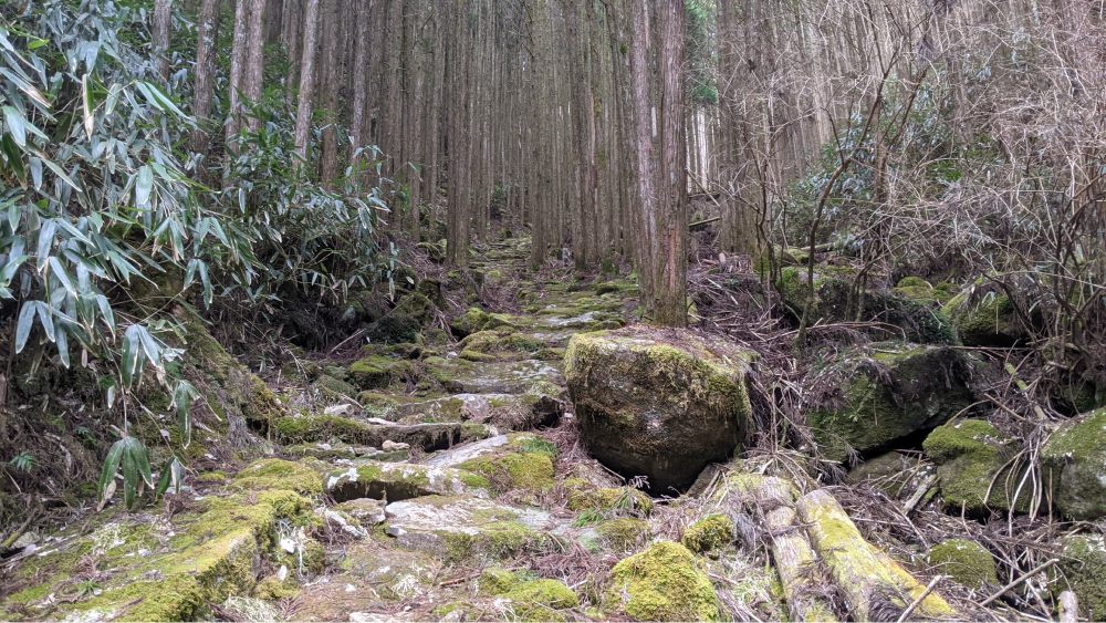 石畳の道を歩く