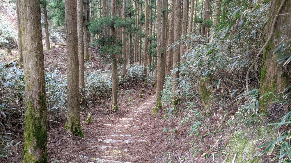 熊野古道ハイキング伊勢路編のおすすめポイント