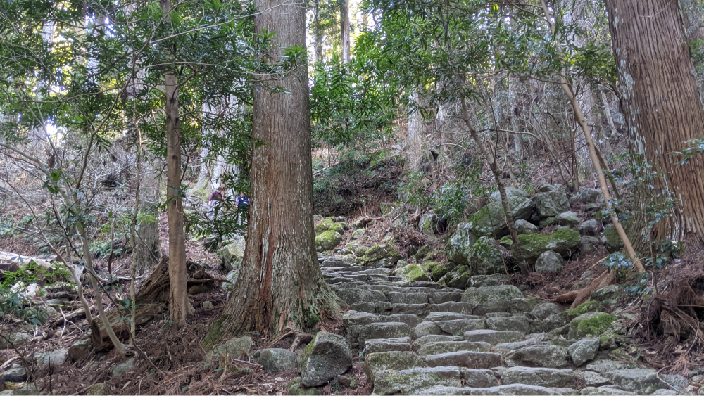 熊野古道ハイキング伊勢路編のおすすめポイント