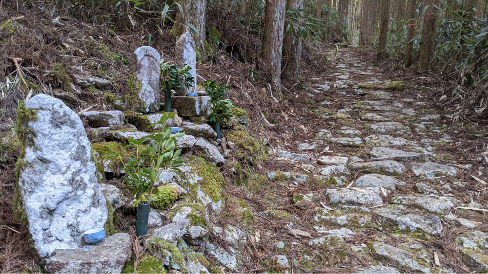 熊野古道(大雲取・小雲取越)の類似ツアーのおすすめポイント
