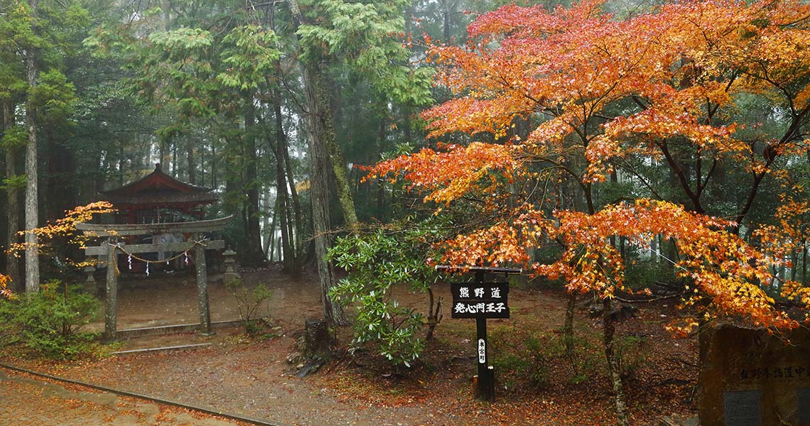 熊野古道ハイキング玉置神社編のおすすめポイント