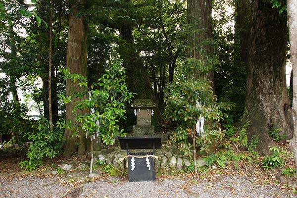 熊野古道ハイキング玉置神社編のおすすめポイント