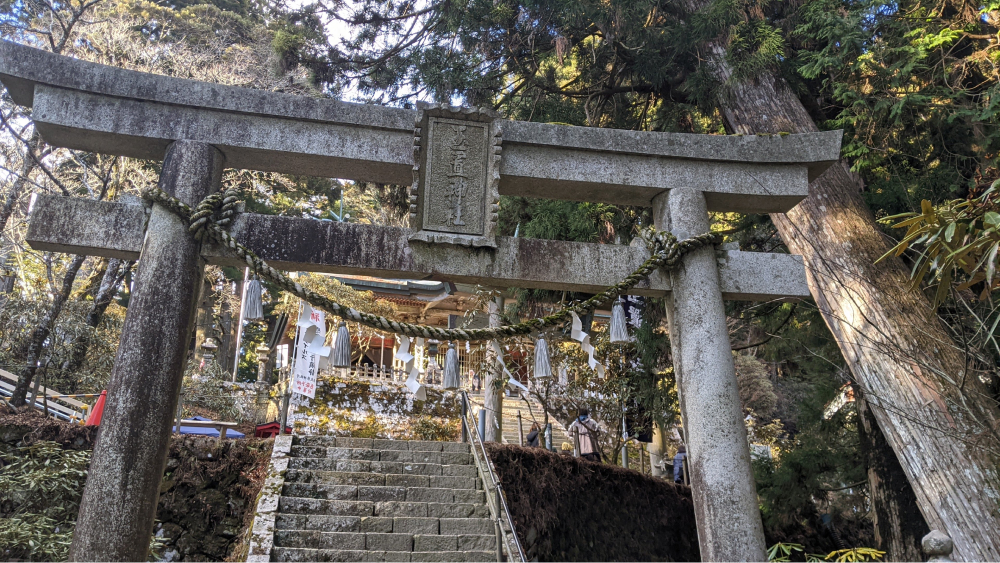 [全国旅行支援対象] 熊野古道ハイキング本宮・玉置神社編