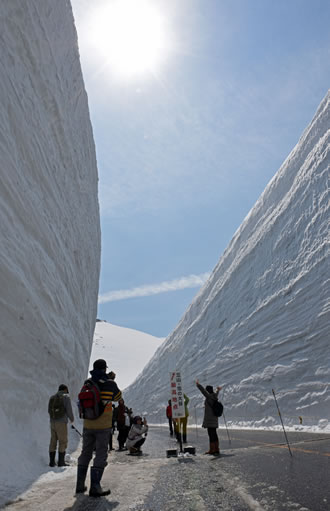 立山黒部アルペンルートバスツアーのおすすめポイント