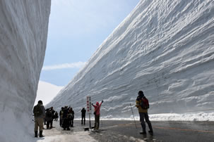 立山黒部アルペンルートバスツアーのイメージ