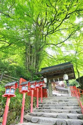 貴船神社と伏見稲荷ツアーのおすすめポイント詳細3