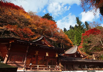 貴船神社と伏見稲荷ツアーのおすすめポイント
