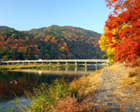 早朝の嵐山・渡月橋（イメージ）