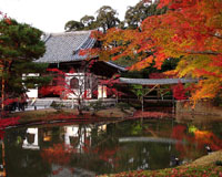 日中の高台寺（イメージ）