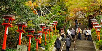 紅葉の京都観光バスツアーのおすすめポイント