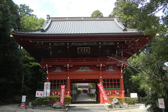 ご来光の道 レイライン|玉前神社コースイメージ1