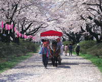 北上展勝地（イメージ）