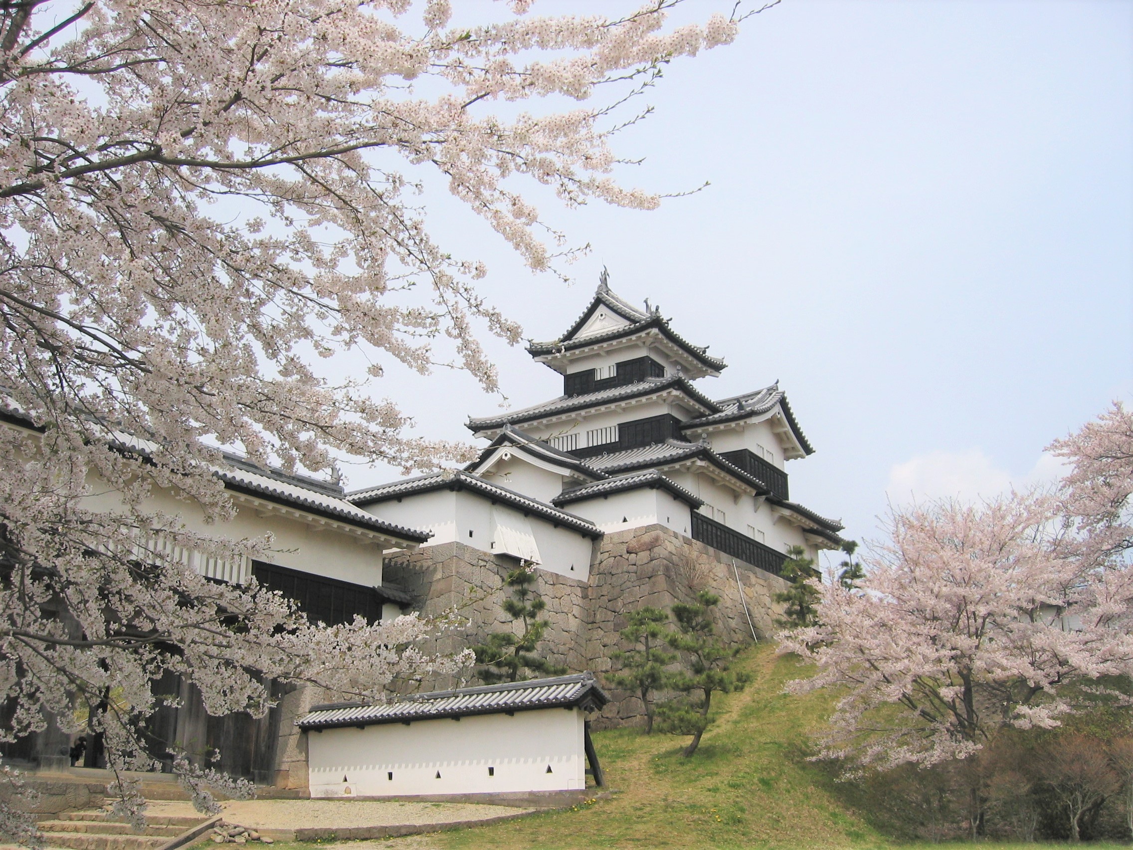 [全国旅行支援対象] 三春の滝桜バスツアーのおすすめポイント詳細