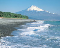 三保の松原と富士山（イメージ）