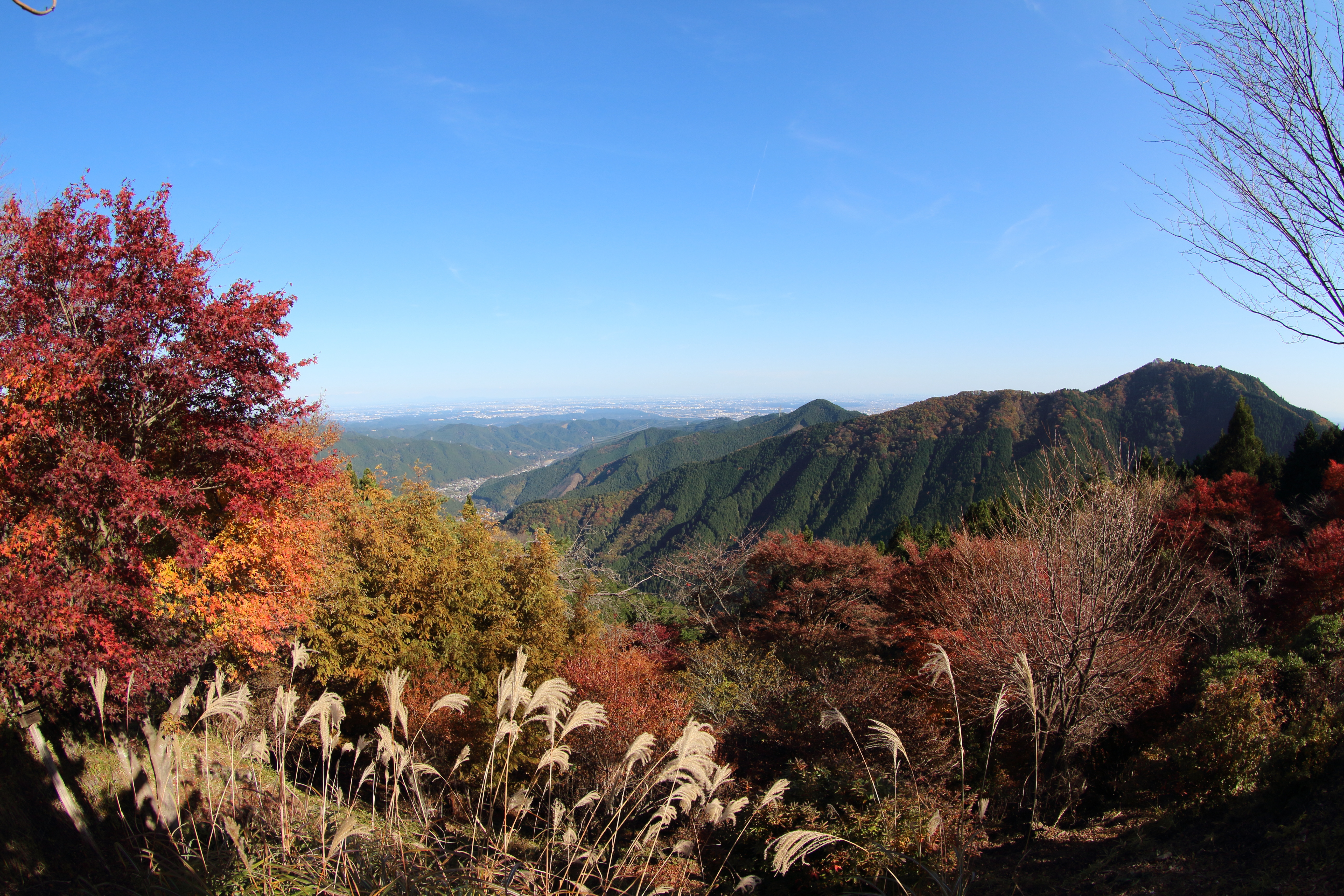 奥多摩の名峰！日本二百名山のひとつ大岳山と御岳山縦走トレッキングツアーのおすすめポイント詳細