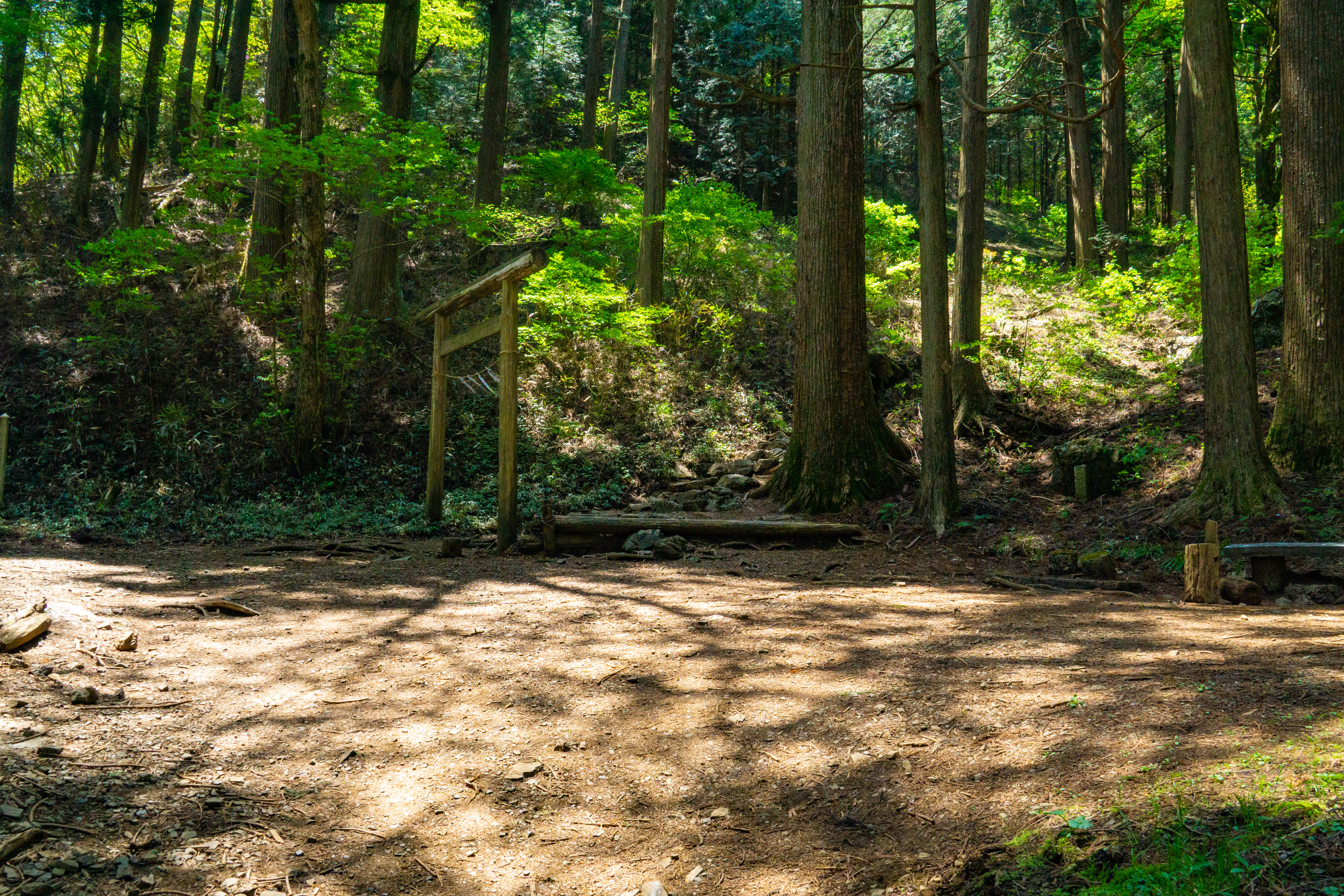 奥多摩の名峰！日本二百名山のひとつ大岳山と御岳山縦走トレッキングツアーのおすすめポイント詳細