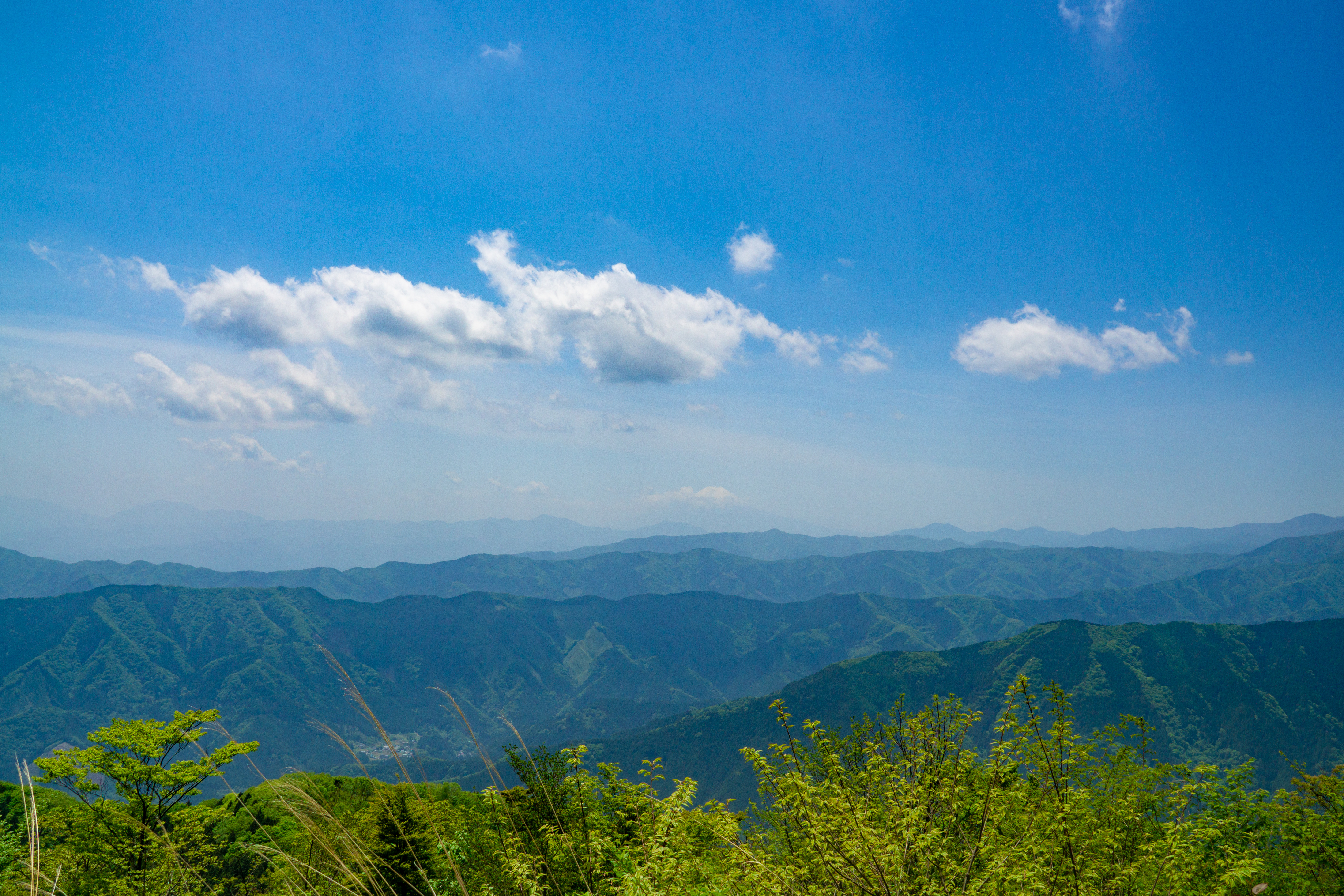 奥多摩の名峰！日本二百名山のひとつ大岳山と御岳山縦走トレッキングツアーのおすすめポイント詳細