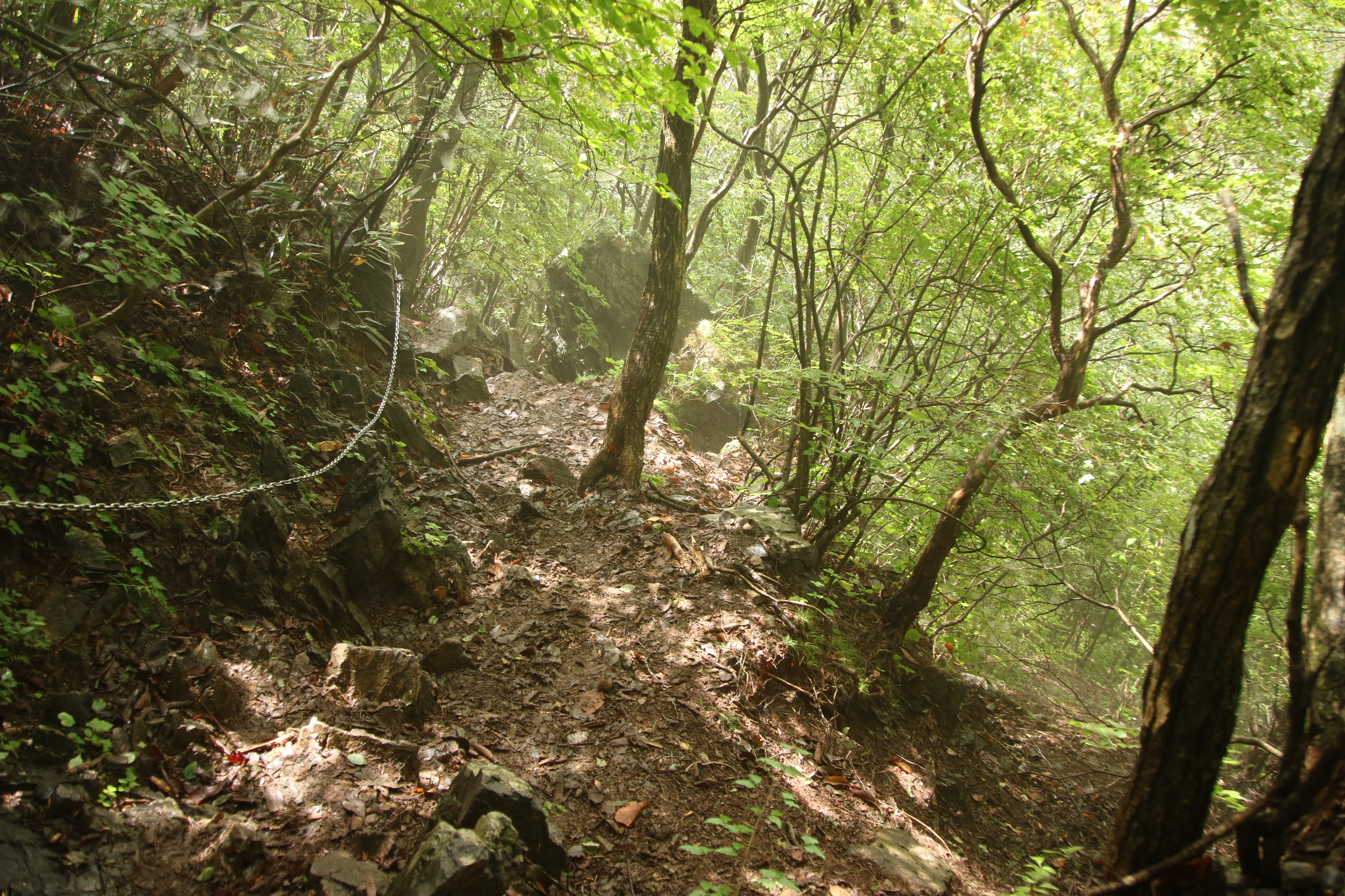 奥多摩の名峰！日本二百名山のひとつ大岳山と御岳山縦走トレッキングツアーのおすすめポイント詳細