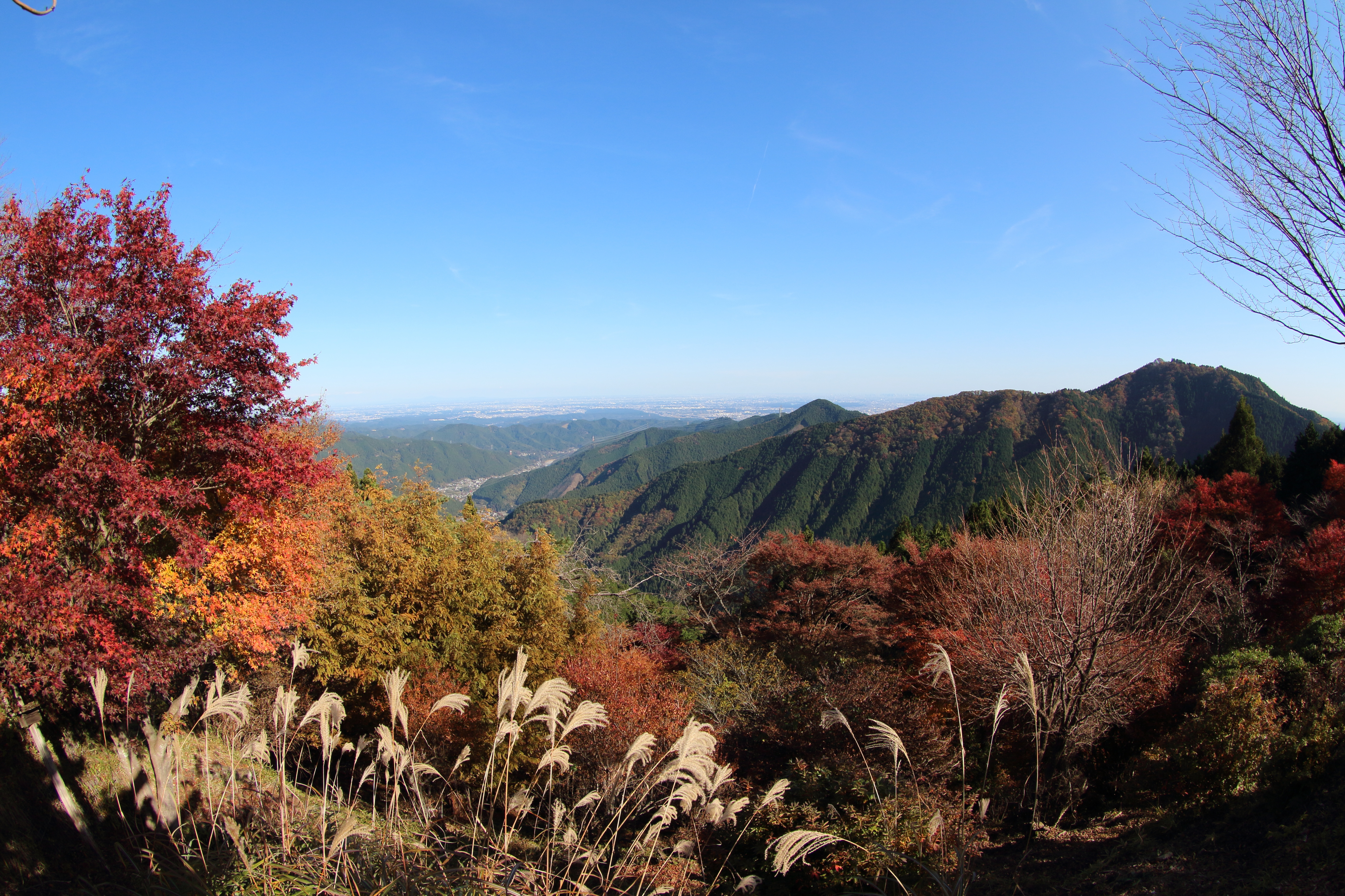 武蔵御嶽神社【奥の院】参拝トレッキングツアーのおすすめポイント詳細