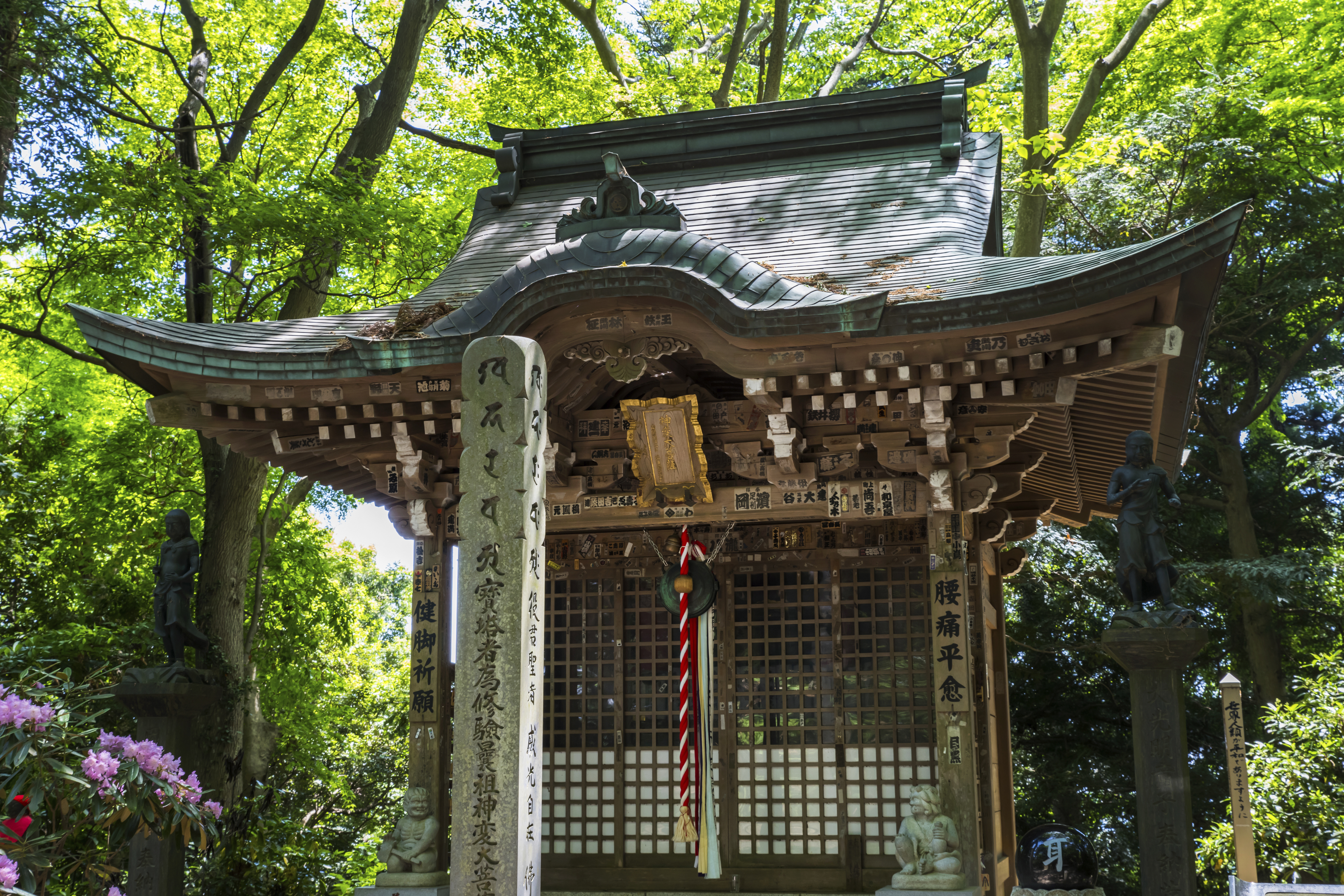 武蔵御嶽神社と高尾山薬王院バスツアーのおすすめポイント詳細