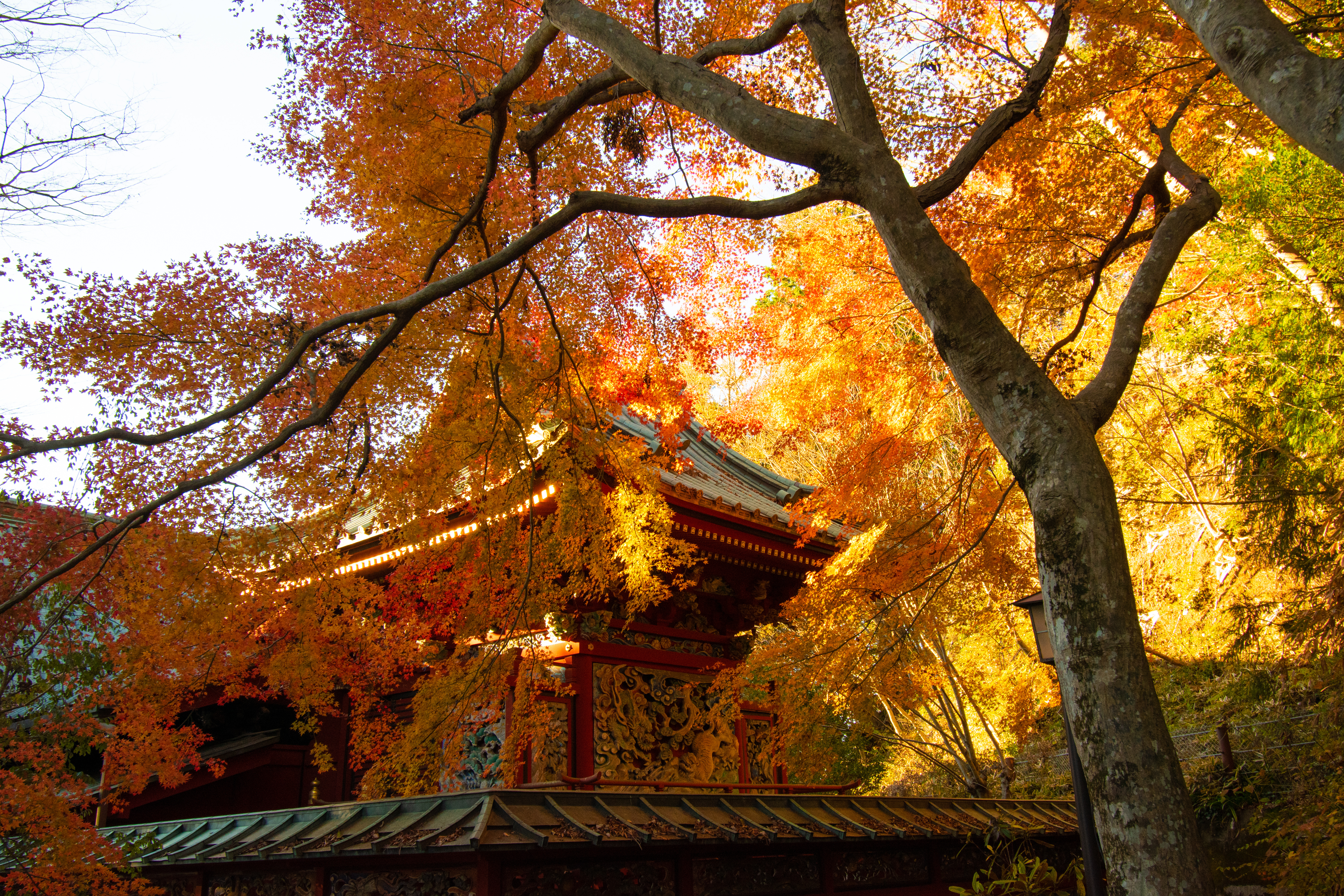 武蔵御嶽神社と高尾山薬王院バスツアーのおすすめポイント詳細