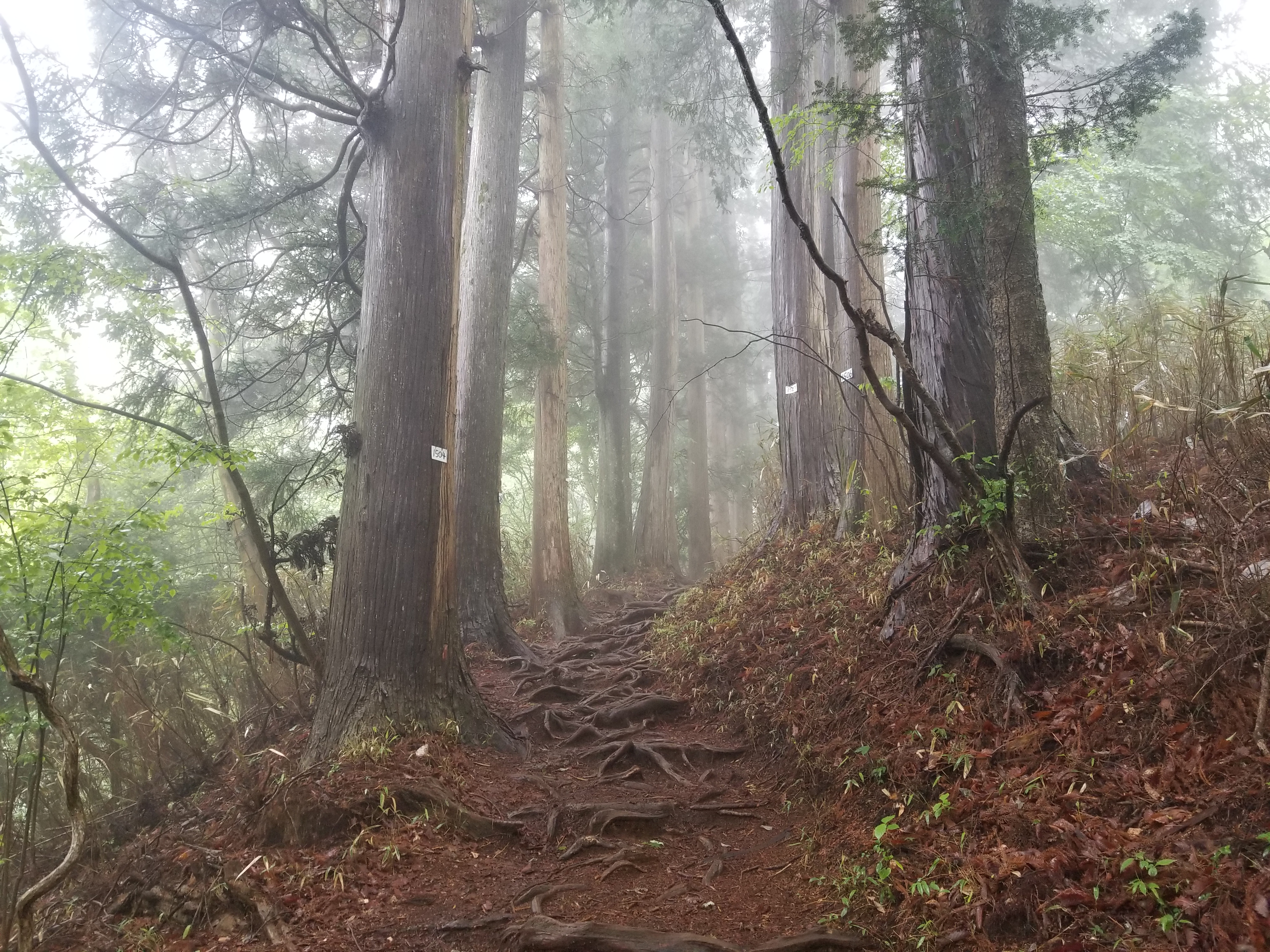 武蔵御嶽神社【奥の院】参拝トレッキングツアーのおすすめポイント詳細