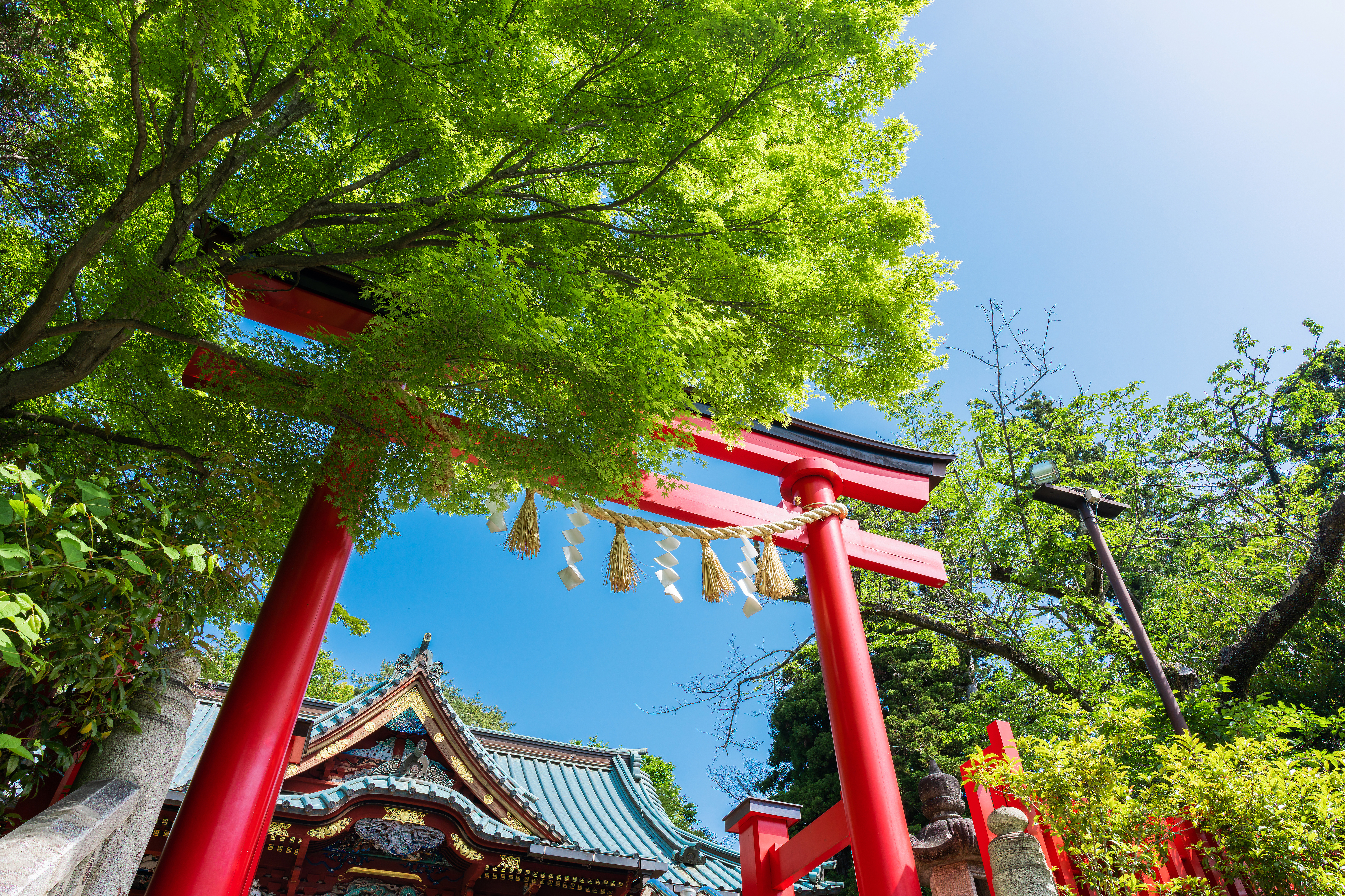 武蔵御嶽神社と高尾山薬王院バスツアーのおすすめポイント詳細