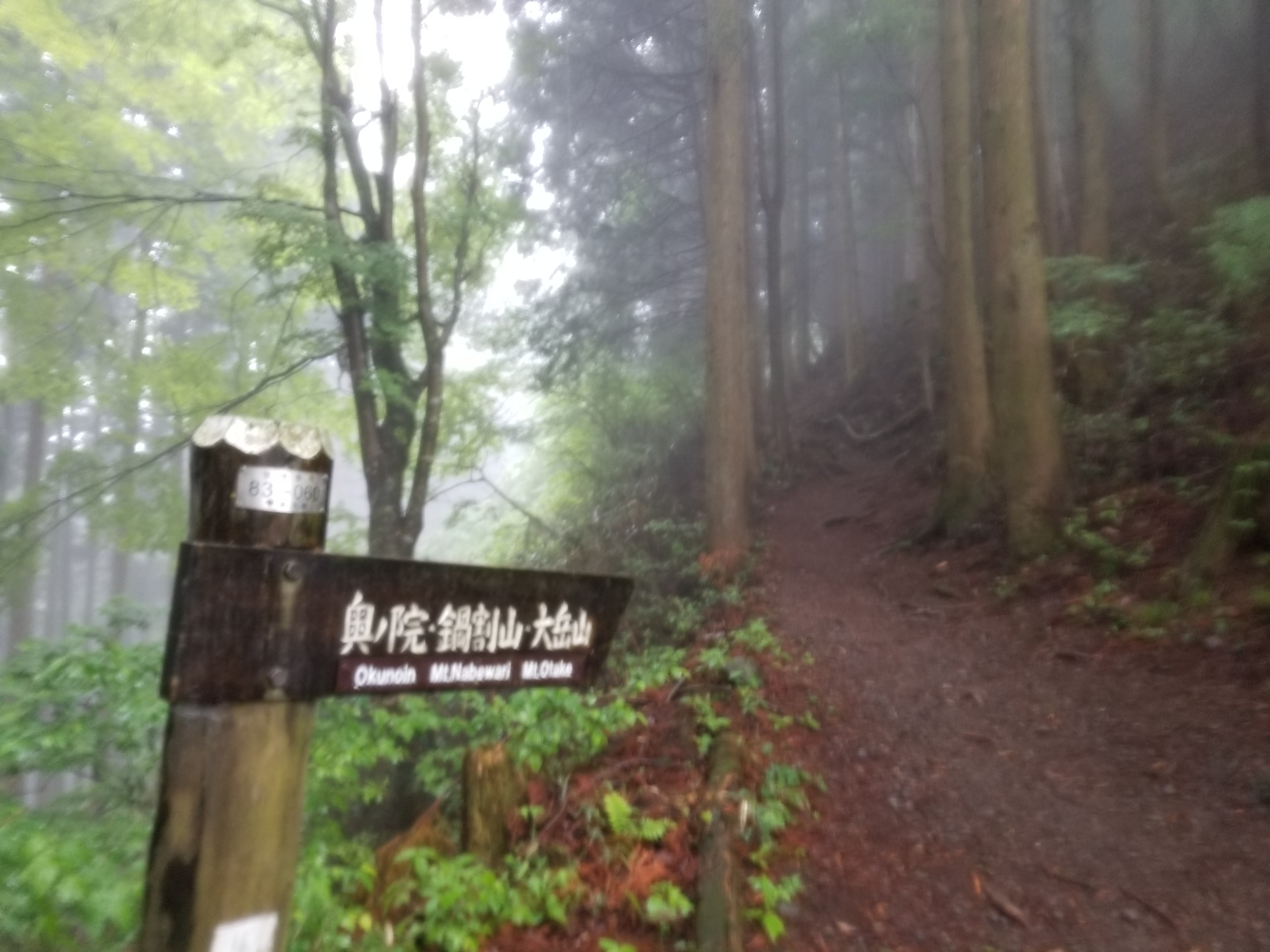 武蔵御嶽神社【奥の院】参拝トレッキングツアー
のイメージ