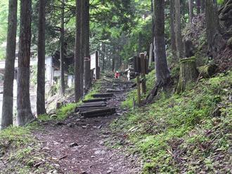 三峯神社ハイキングツアーのおすすめポイント詳細