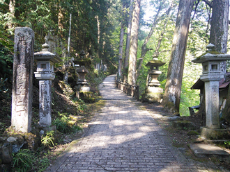 三峯神社ハイキングツアーのおすすめポイント