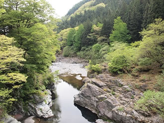 三峯神社ハイキングツアーのおすすめポイント