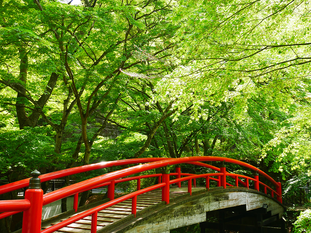 [全国旅行支援対象] 群馬の縁結び旅！伊香保神社＆伊香保温泉と水澤観音（水澤寺）・三夜沢赤城神社のおすすめポイント