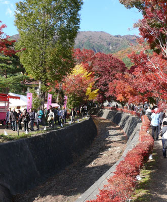 河口湖もみじ回廊バスツアーのおすすめポイント