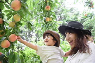 もも食べ放題とほうとう打ち体験バスツアーの