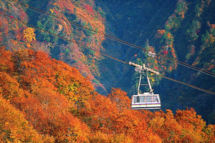 紅葉の苗場空中散歩と田代高原バスツアーのイメージ