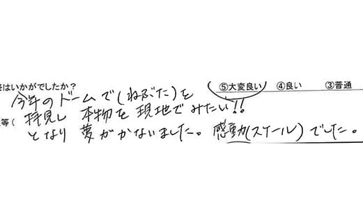 お客様からの感想