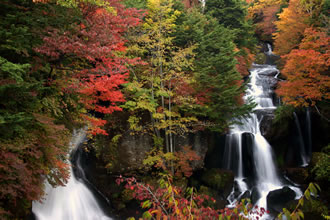 日光紅葉ツアーのおすすめポイント詳細