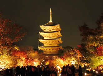 仁和寺観音堂 特別内拝。東寺 紅葉夜間ライトアップと平安神宮バスツアーのイメージ