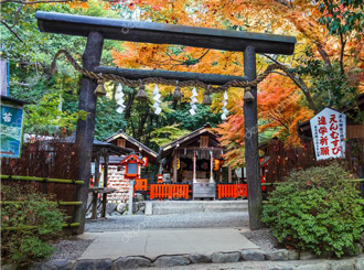 仁和寺観音堂 特別内拝。東寺 紅葉夜間ライトアップと平安神宮バスツアーのイメージ