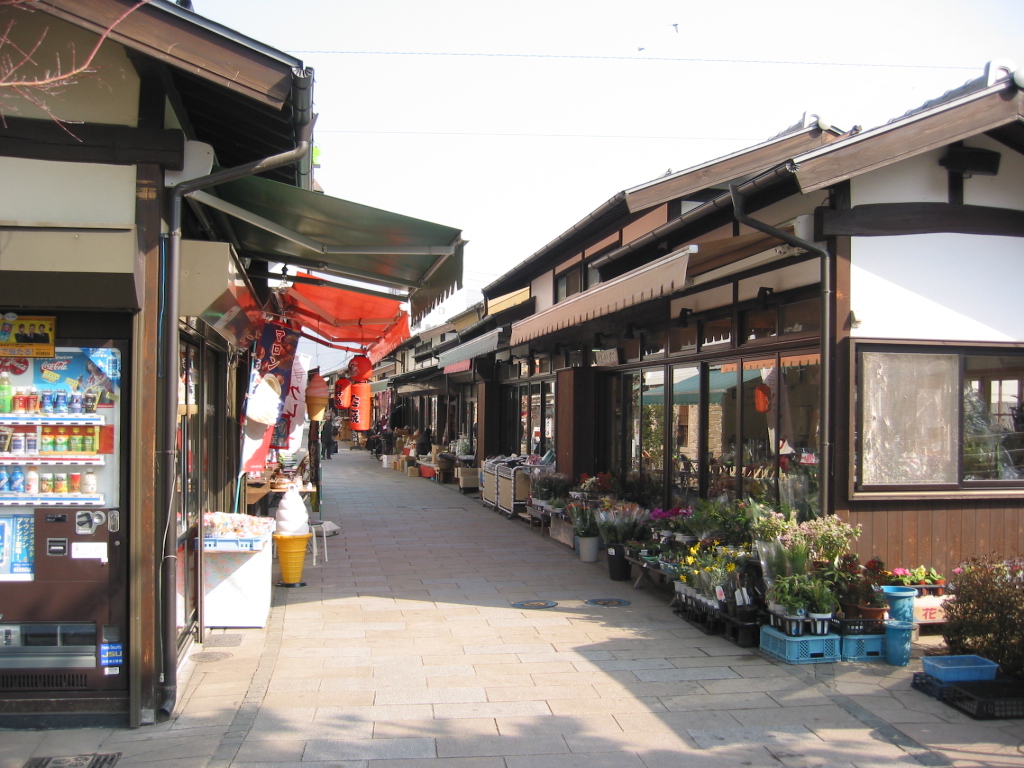 仁科神明宮と穗髙神社信州2大パワスポ巡りバスツアーのおすすめポイント詳細