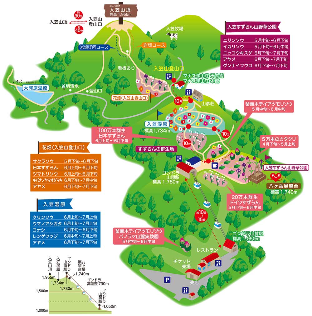 ハイキング初心者におすすめ 入笠山ハイキングツアー 日帰りバスツアー